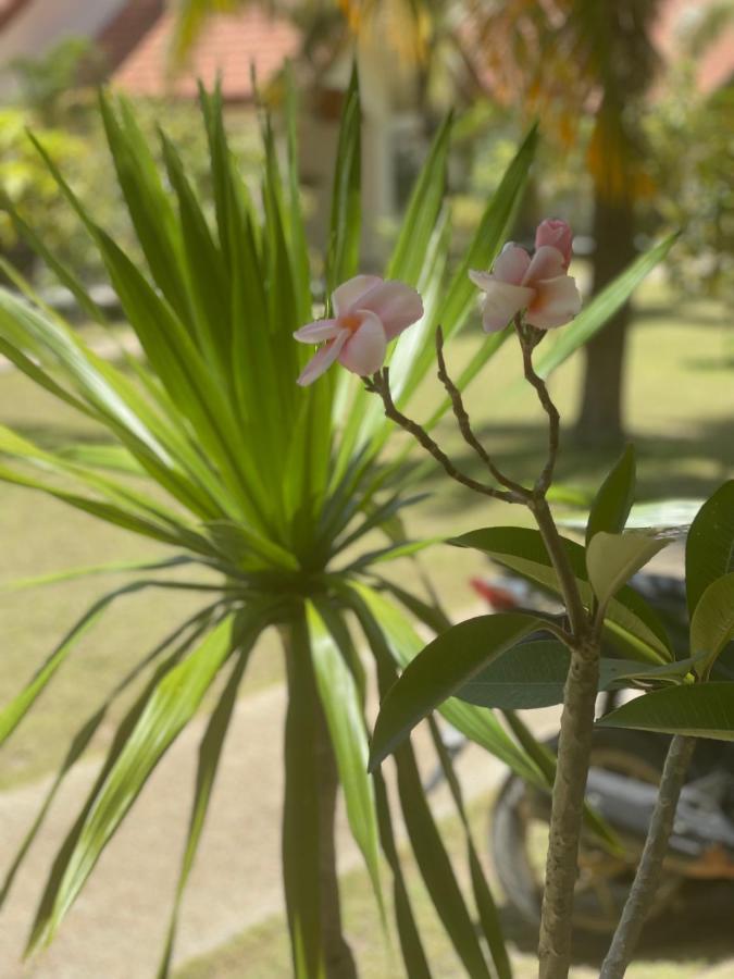 Paradis Villa A9, Koh Kho Khao Koh Kho Khao Island Exteriér fotografie